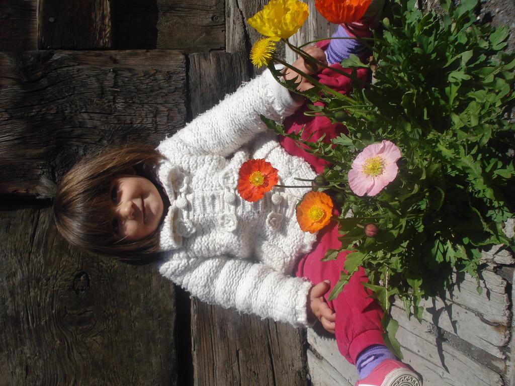 Bait Da Domenin * Livigno